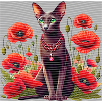 Animal Integration-DW 1929